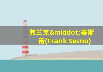 弗兰克·赛斯诺(Frank Sesno)